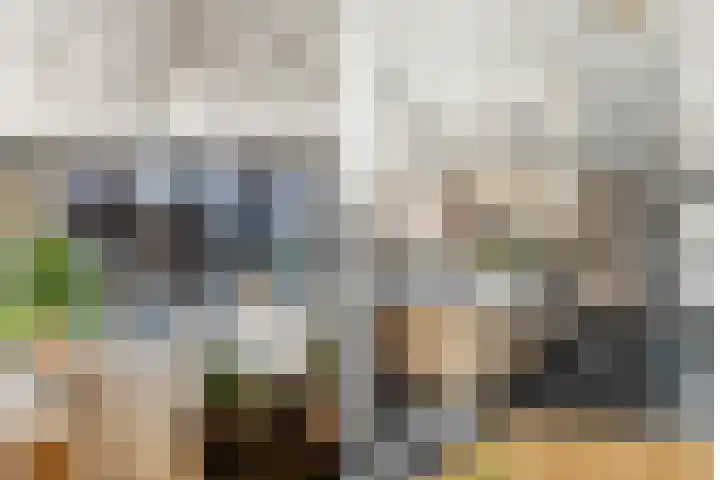 Landmansweide 2 Nieuwegein thumbnail 25