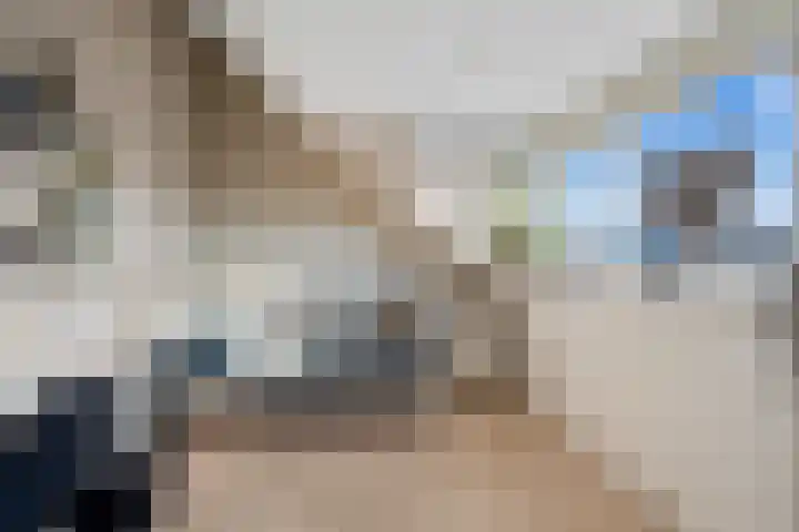 Landmansweide 2 Nieuwegein thumbnail 43