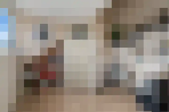 Landmansweide 2 Nieuwegein thumbnail 45