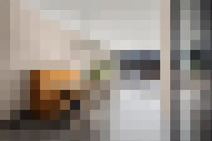 Landmansweide 2 Nieuwegein thumbnail 9
