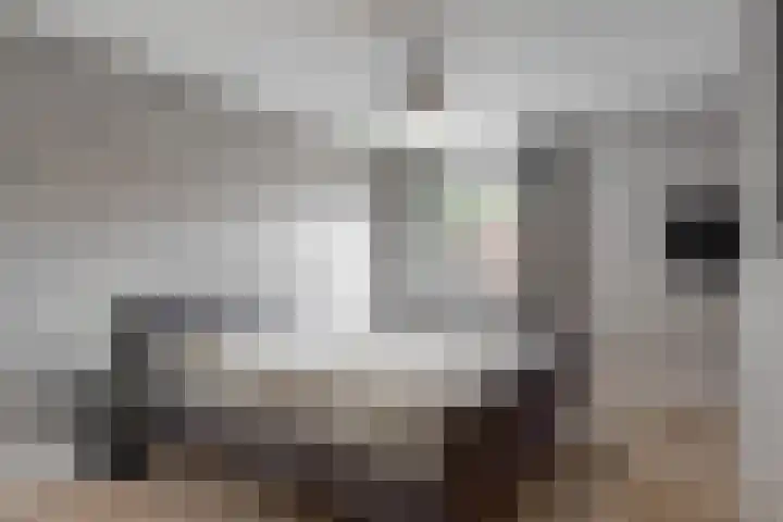 Landmansweide 4 Nieuwegein thumbnail 19