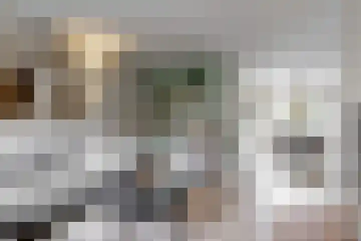 Landmansweide 4 Nieuwegein thumbnail 6