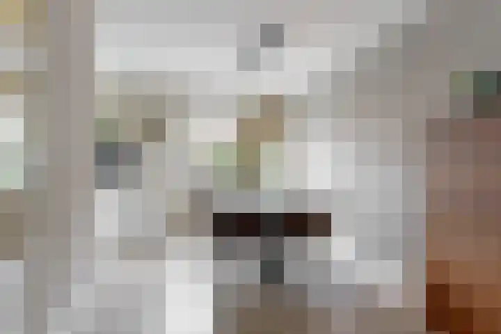 Landmansweide 4 Nieuwegein thumbnail 8