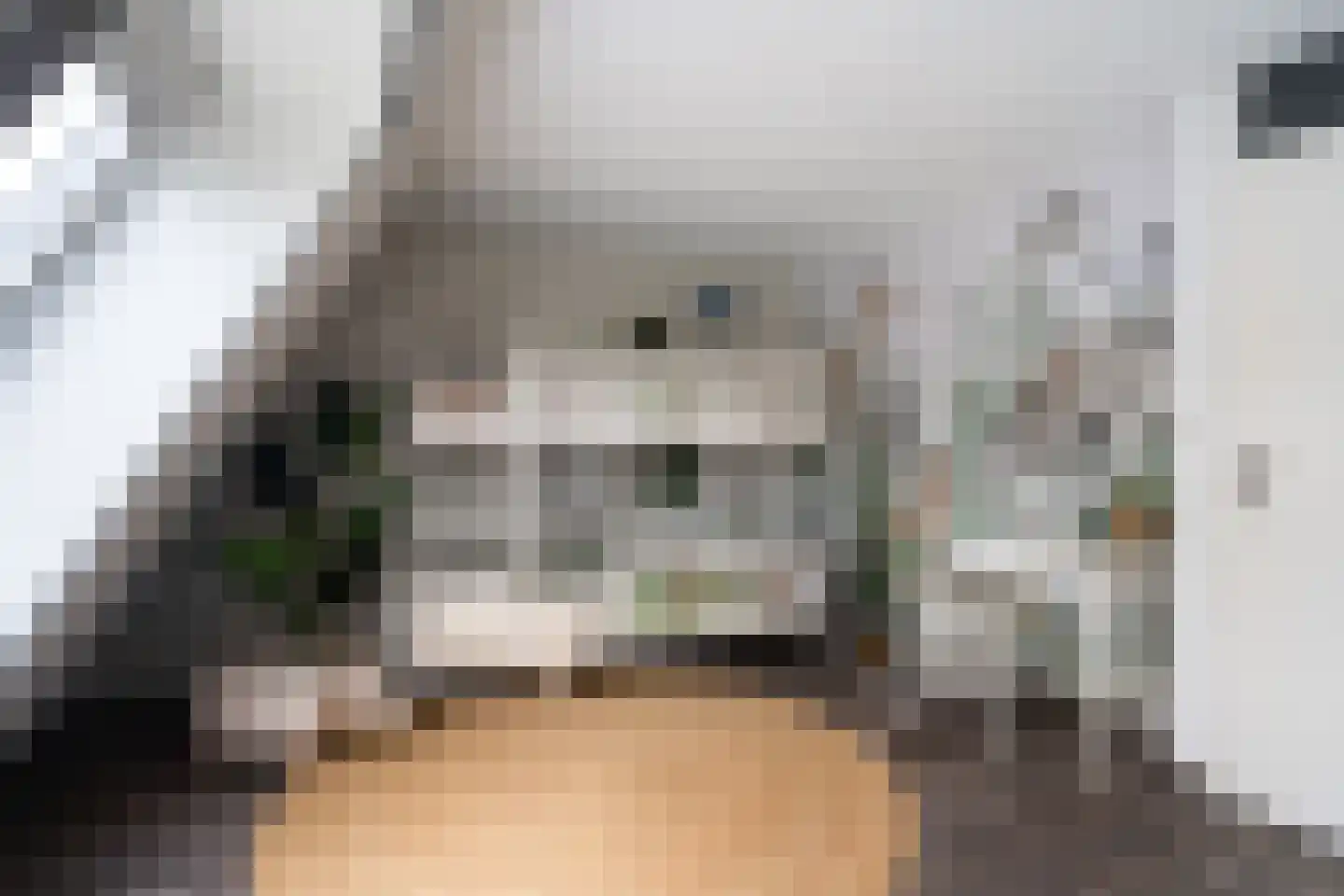 Landmansweide 57 Nieuwegein thumbnail 17