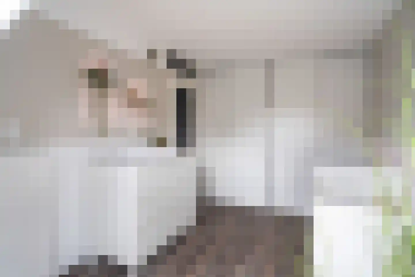 Landmansweide 57 Nieuwegein thumbnail 20