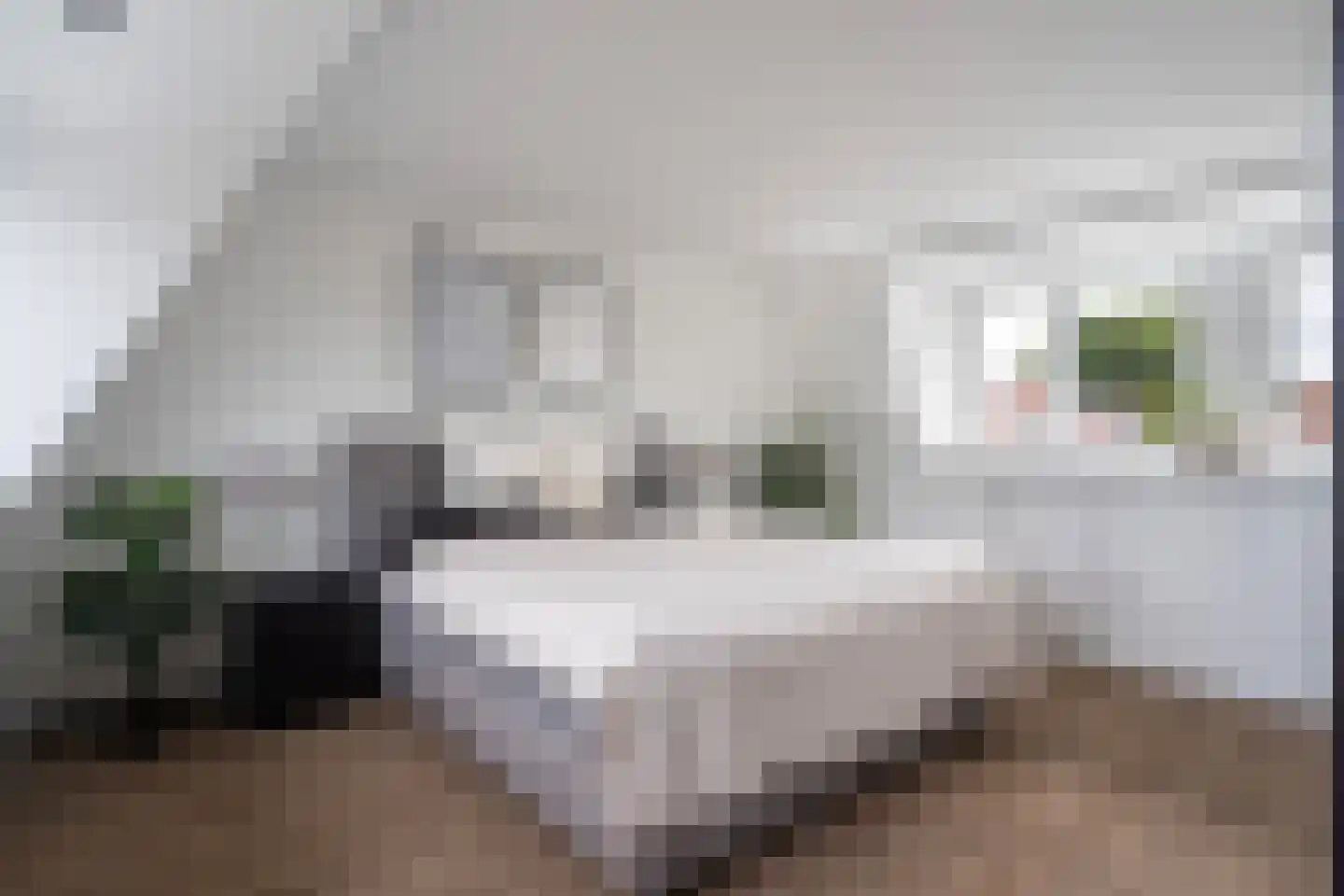 Landmansweide 57 Nieuwegein thumbnail 22