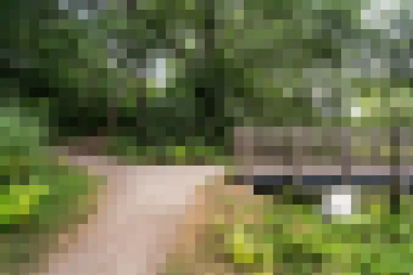 Landmansweide 57 Nieuwegein thumbnail 39