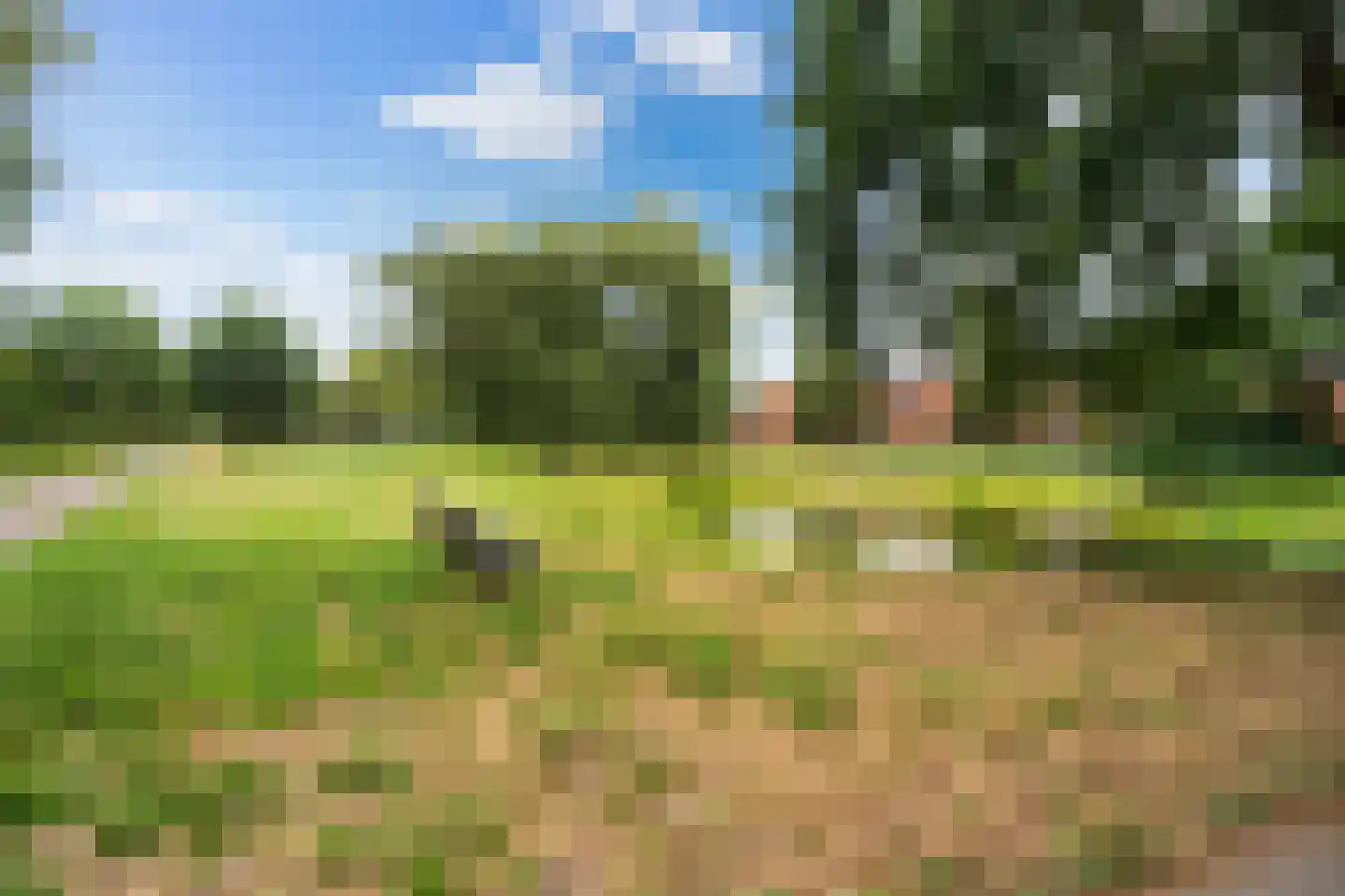 Landmansweide 57 Nieuwegein thumbnail 42