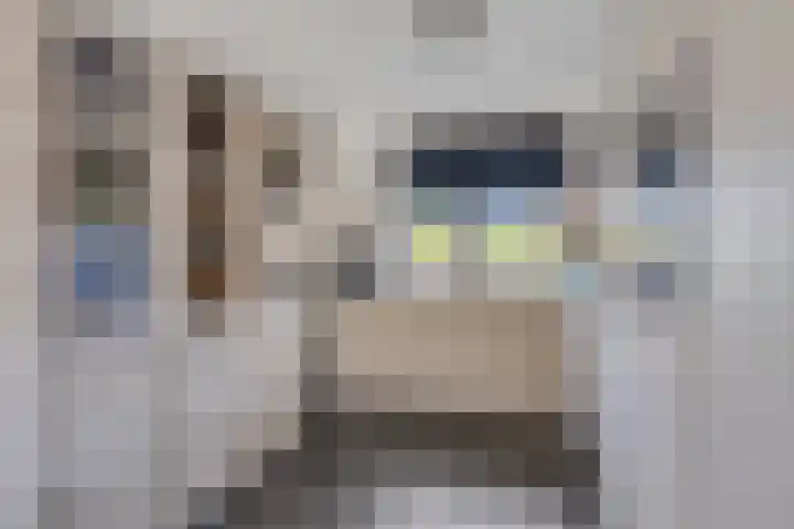 Landmanweg 10 Etten-Leur thumbnail 13
