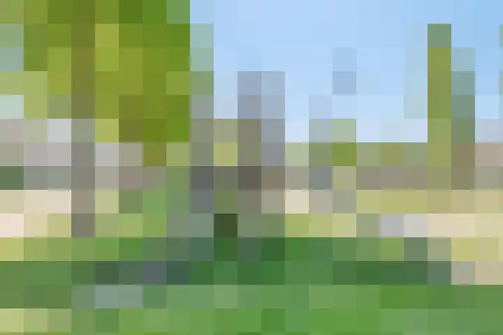 Landmanweg 10 Etten-Leur thumbnail 37