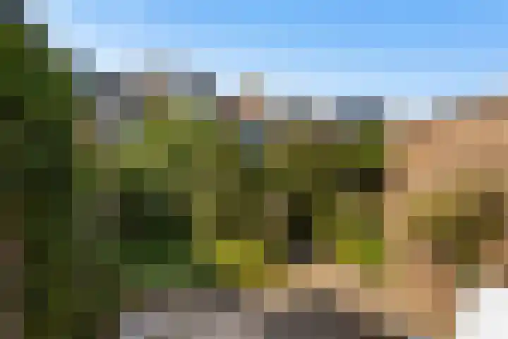 Landmanweg 21 Zwijndrecht thumbnail 12