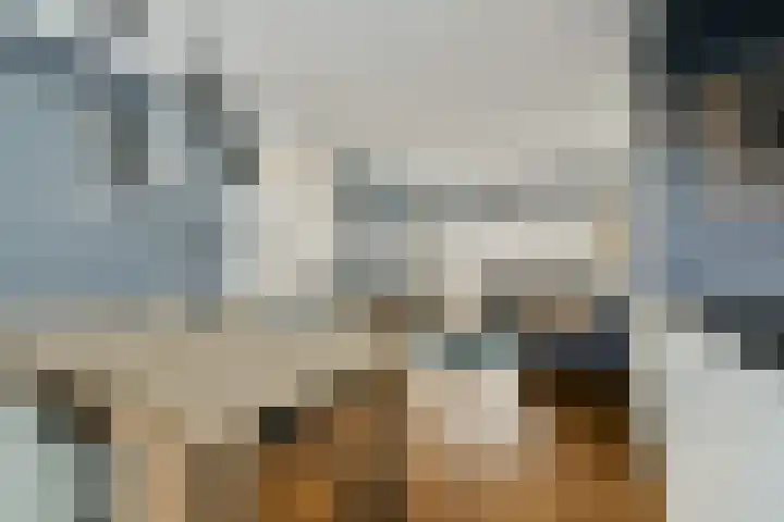 Landmanweg 6 Zwijndrecht thumbnail 12