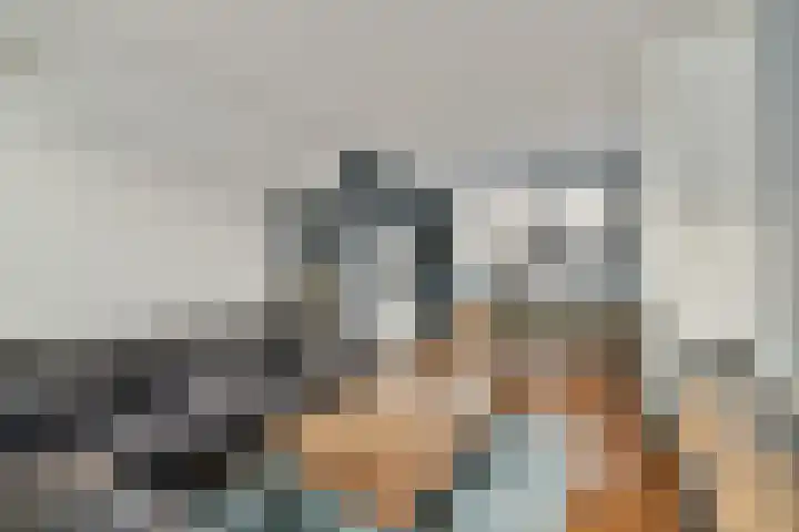 Landmanweg 6 Zwijndrecht thumbnail 8