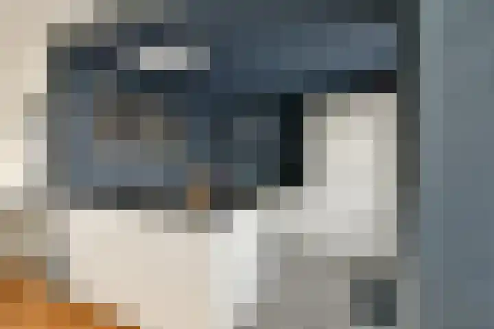 Landmanweg 6 Zwijndrecht thumbnail 9