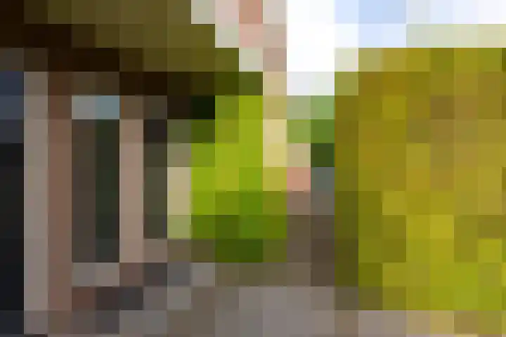Landmeerse Loop 19 Tilburg thumbnail 10
