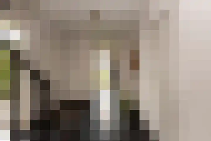 Landmeerse Loop 19 Tilburg thumbnail 11