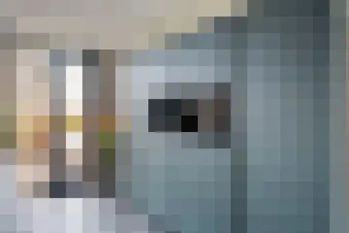 Landmeerse Loop 19 Tilburg thumbnail 24