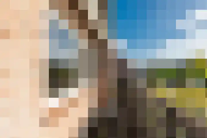 Landmeerse Loop 19 Tilburg thumbnail 27