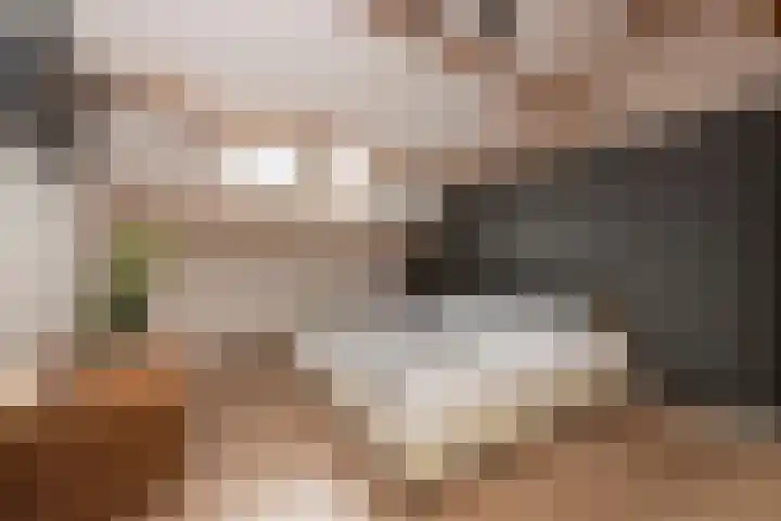 Landmeerse Loop 19 Tilburg thumbnail 37