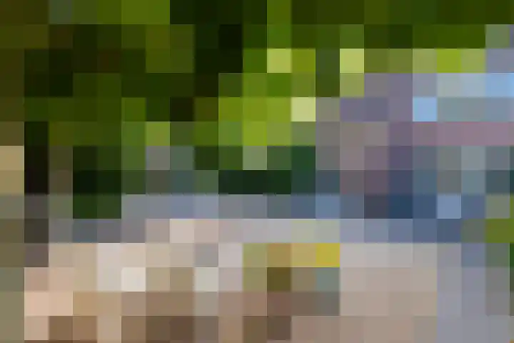Landmeerse Loop 19 Tilburg thumbnail 5