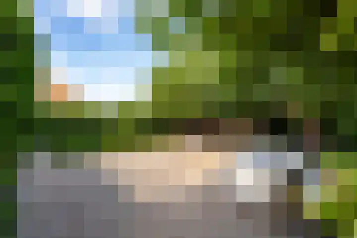 Landmeerse Loop 19 Tilburg thumbnail 50