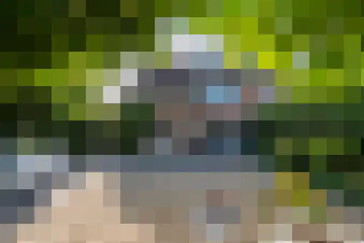 Landmeerse Loop 19 Tilburg thumbnail 52