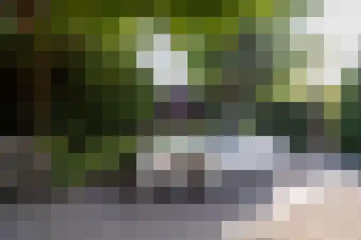 Landmeerse Loop 19 Tilburg thumbnail 53