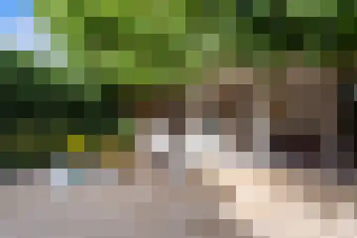 Landmeerse Loop 19 Tilburg thumbnail 54
