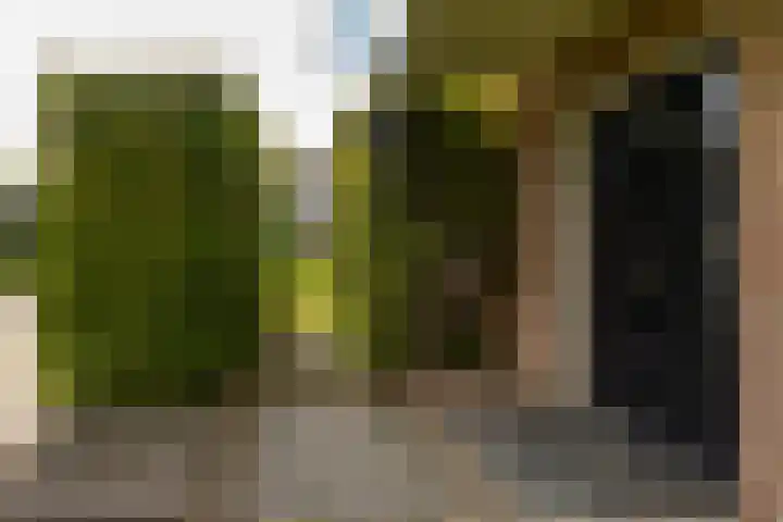 Landmeerse Loop 19 Tilburg thumbnail 9