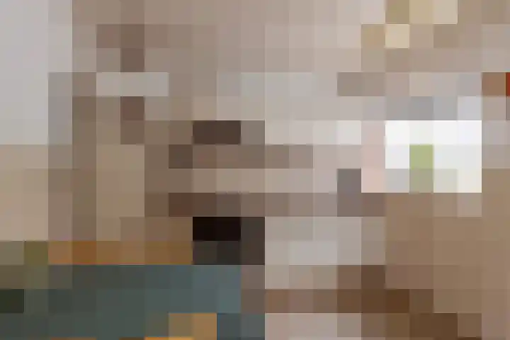 Landmeerseweg 22 Handel thumbnail 12