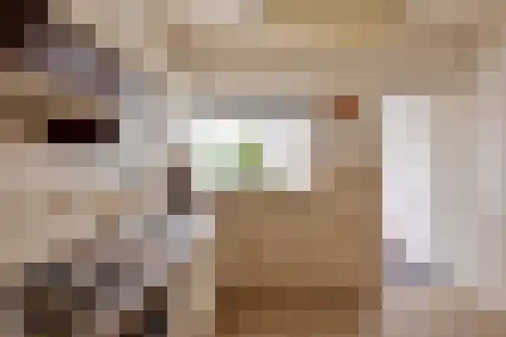 Landmeerseweg 22 Handel thumbnail 13