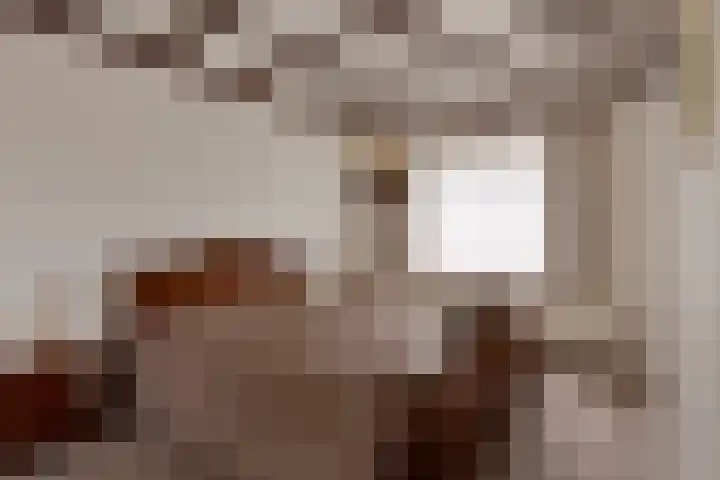 Landmeerseweg 22 Handel thumbnail 16