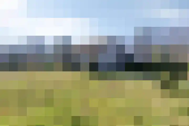 Landmeerseweg 22 Handel thumbnail 26