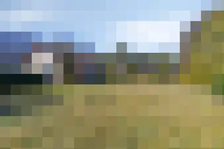 Landmeerseweg 22 Handel thumbnail 27