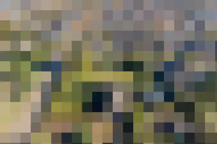 Landmeerseweg 22 Handel thumbnail 32