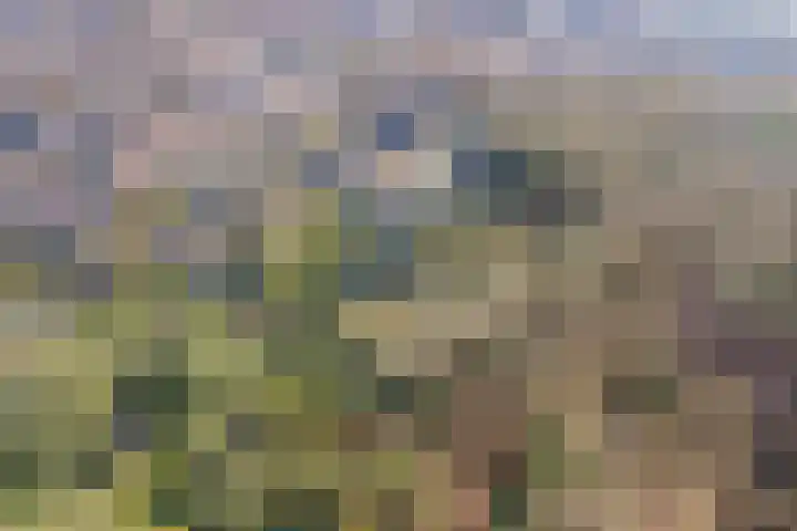 Landmeerseweg 22 Handel thumbnail 33