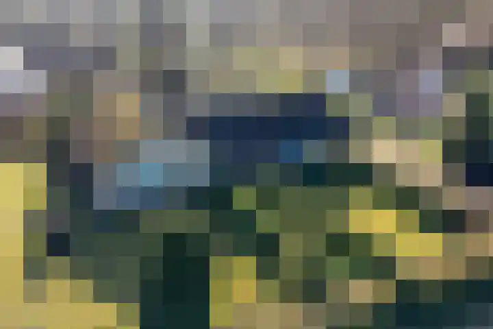 Landmeerseweg 22 Handel thumbnail 4