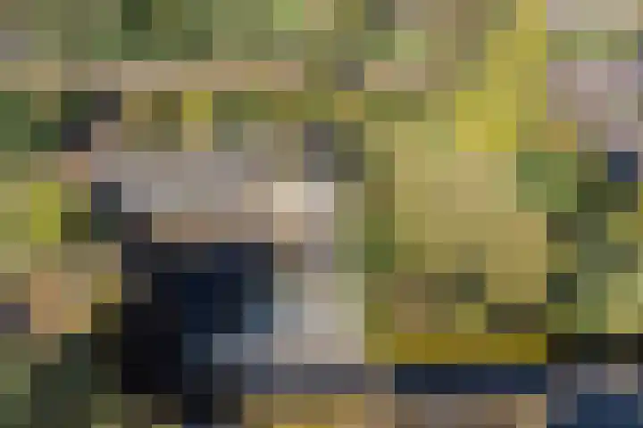 Landmeerseweg 22 Handel thumbnail 5