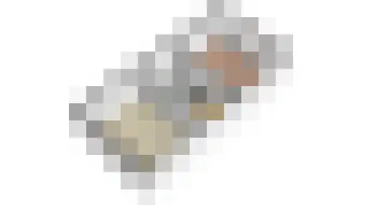 Landmeter 101 Assendelft thumbnail 15