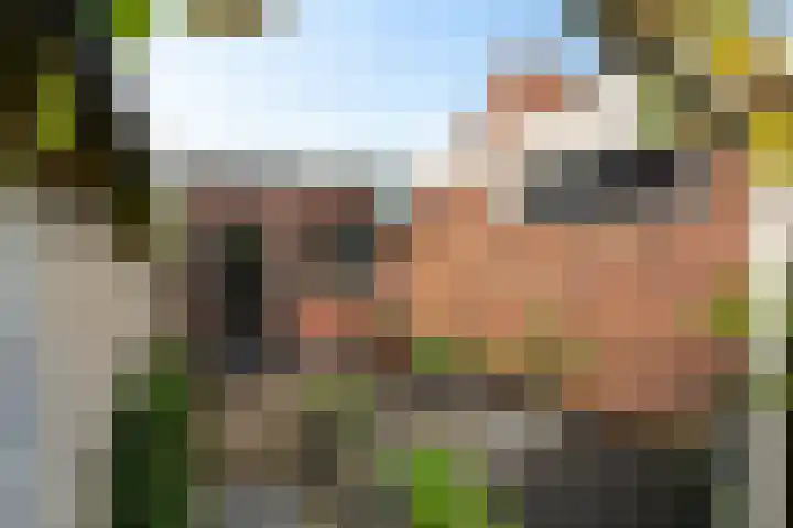 Landmeter 101 Assendelft thumbnail 19