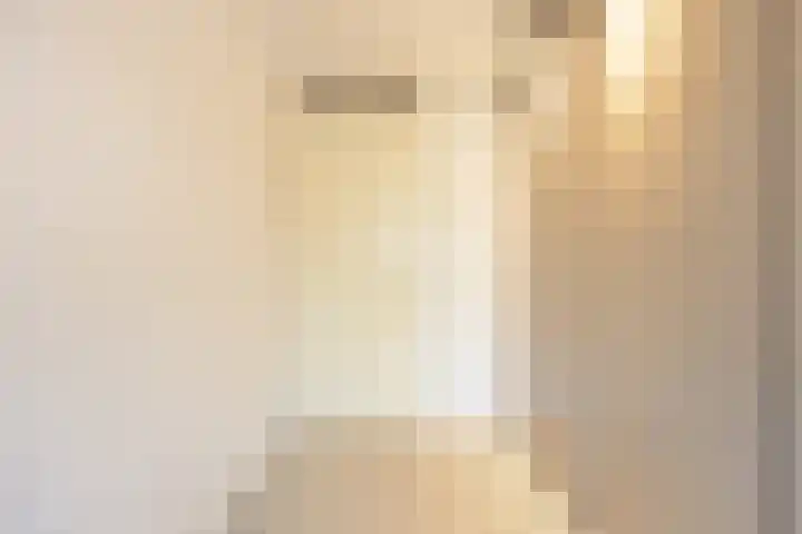 Landmeter 101 Assendelft thumbnail 20