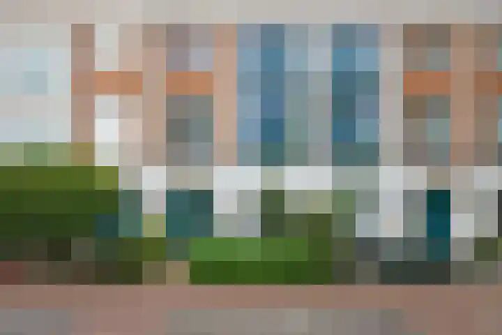 Landmeter 101 Assendelft thumbnail 26