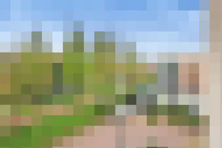 Landmeter 101 Assendelft thumbnail 27