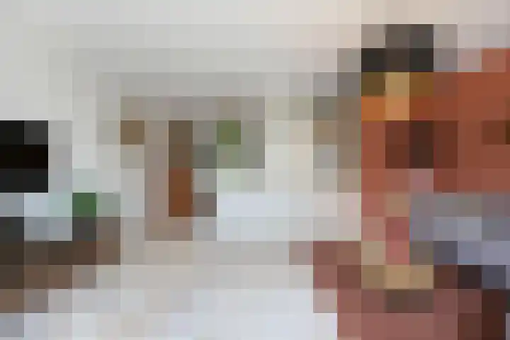 Landmeter 101 Assendelft thumbnail 4