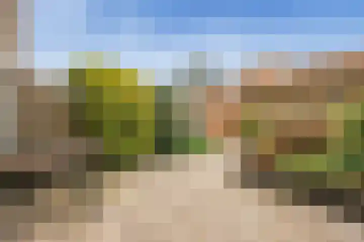 Landmeter 101 Assendelft thumbnail 8