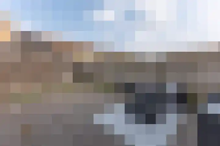 Landmeter 19 Assendelft thumbnail 10