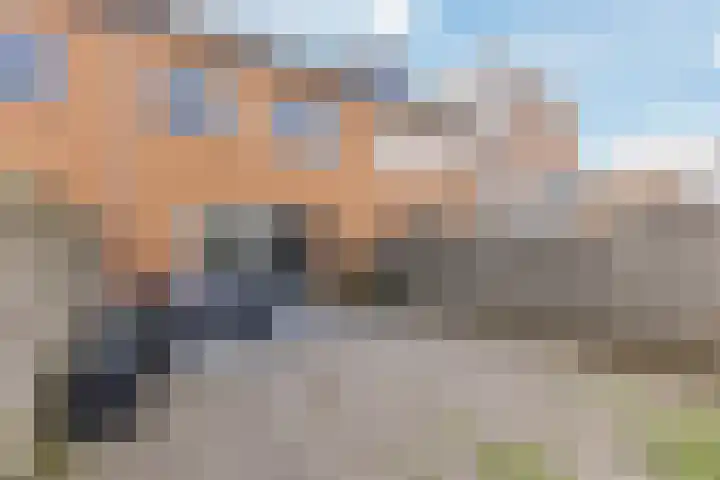 Landmeter 19 Assendelft thumbnail 11