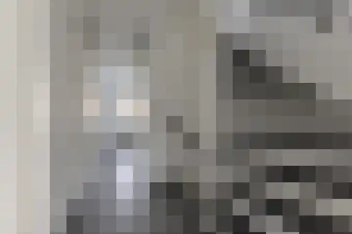Landmeter 19 Assendelft thumbnail 13