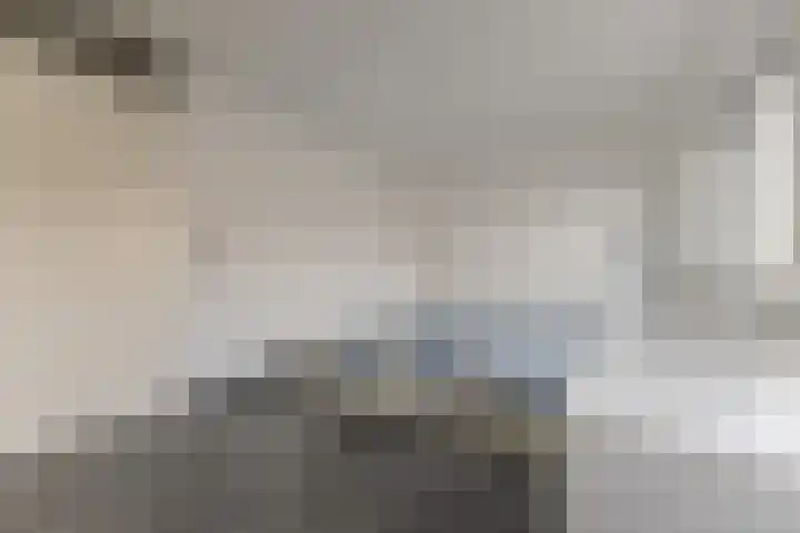Landmeter 19 Assendelft thumbnail 14