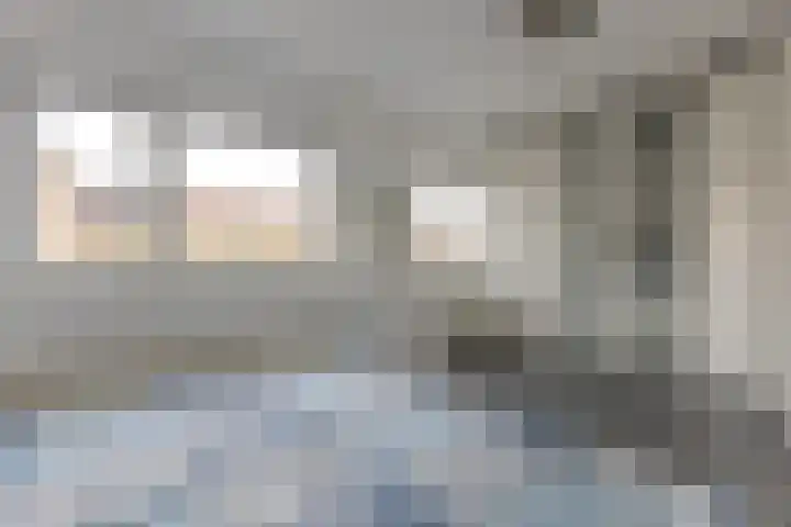 Landmeter 19 Assendelft thumbnail 15